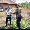 Polisi di Rembang Bantu Bibit Jagung dan Dampingi Petani Kelola Lahan