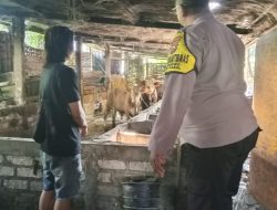 Bhabinkamtibmas Kelurahan Benowo Dukung Program Ketahanan Pangan Melalui Sambang Peternak Sapi