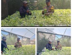 Polsek Lakarsantri Dukung Ketahanan Pangan Lewat Kebun Hidroponik Sawi di Lingkungan sekolah 
