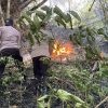 Polres Trenggalek Terjunkan Personel Jajaran Padamkan Api di Gunung Orak Arik