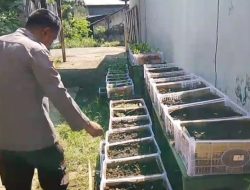 Gugus Tugas Polsek Rembang Pantau Lahan P2L, Wujudkan Ketahanan Pangan Melalui Implementasi Asta Cita Presiden RI