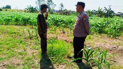Img 20260715 Wa0125