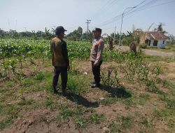 Img 20260715 Wa0126