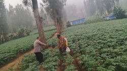 Img 20260719 Wa0119