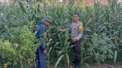 Img 20260721 Wa0105
