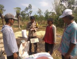 Polisi Dampingi Petani Bantu Distribusi 2,8 Ton Jagung Petani Rebono ke Bulog 