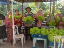 Dukung Ketahanan Pangan, Polsek Krembangan Panen Sawi Hidroponik Bersama KWT Dorang Cinta