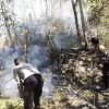 Respon Cepat Call Center 110 Polres Ngawi, Kebakaran Lahan di Bukit Gogor Sine Berhasil Dipadamkan