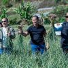 Satgas Pangan Polri Perkuat Swasembada Bawang Putih, Lahan Tanam di Sembalun Capai 534 Hektare