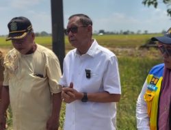 Hamka B. Kady: Saluran Irigasi Tersier Penentu Produktivitas Pertanian, P3TGAI Harus Dijaga Kualitasnya