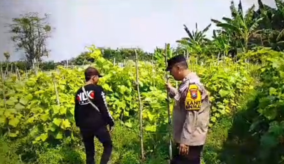 Img 20260801 Wa0105