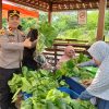 Polres Pelabuhan Tanjung Perak Panen Sawi Caisin Hidroponik, Wujud Nyata Dukung Ketahanan Pangan Nasional