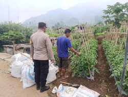 Img 20260806 Wa0117