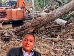 Dari Penangkapan hingga Penahanan, Kuasa Hukum Pertanyakan Proses Hukum Sopir Pengangkut Kayu