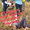 Alif mengklaim objek tanah perkara miliknya tapi tidak dapat membuktikan dan tidak tau batas batas tanahnya sewaktu sidang lapangan. PN Sidikalang