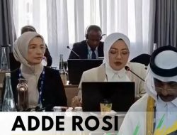 Adde Rosi Khoerunnisa: Parlemen Harus Wujudkan Pembangunan Sosial Inklusif bagi Penyandang Disabilitas
